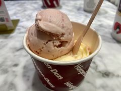 -哈根达斯(武汉天地店)