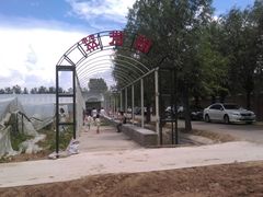 -庞各庄翠芳园西瓜蔬菜基地采摘园