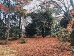 -三千院
