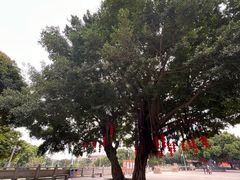 -青礁慈济宫