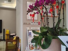 -土豆口腔(凤凰北总店)