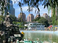 -团结湖公园