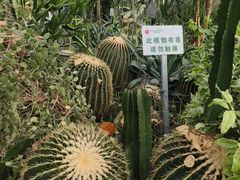 -西安世博园