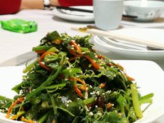 木姜油丝瓜尖-首钢一九一九大酒楼(石景山店)