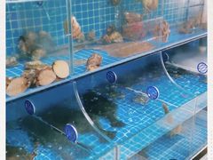 水产区-宾朋海鲜特色美食餐厅·纯手工鲅鱼水饺(兴海路店)