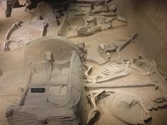 -洛阳周王城天子驾六博物馆