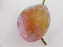 -鲜丰水果(杭州庆春银泰店)