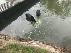 -南京医科大学(江宁校区)