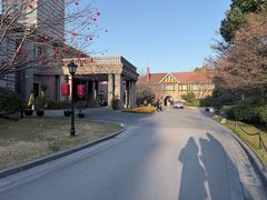 -上海瑞金洲际酒店