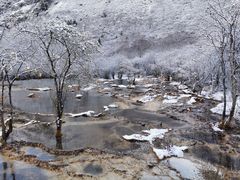 -黄龙山原始森林景区