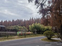 -黄海国家森林公园