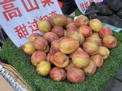 -海窝子古镇