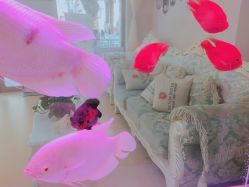 -痘庄科学祛痘国际连锁机构