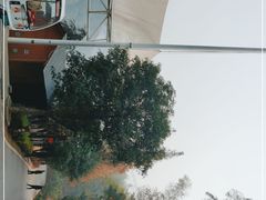 -石燕湖生态旅游景区