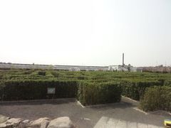 绿地迷宫-上海鲜花港