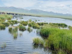 -花湖生态旅游区