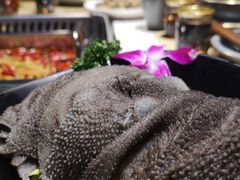-莉莉家的音乐花园餐吧(航空路店)