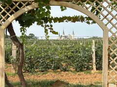 -北京张裕爱斐堡酒庄