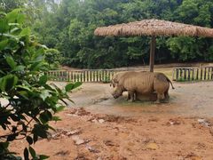 -泉州海丝野生动物世界