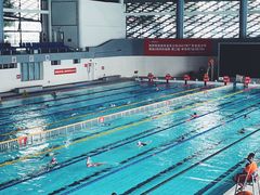 -南山文体中心-游泳馆