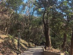 -宝岩生态观光园