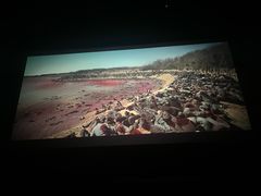 -金逸影城(中关村店)