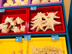 -北戴河圣蓝海洋公园