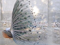 -意大利农场度假村