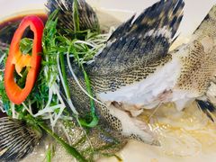 -宜宾海鲜酒家·三十年老字号