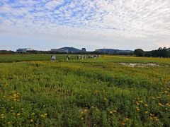 -长广溪湿地公园