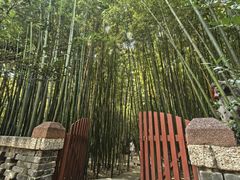 -泰山风景名胜区-普照寺