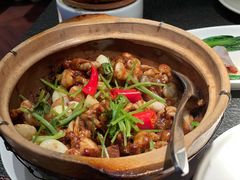 啫啫美人蛙-蝴蝶里·粤菜·点心(龙湖天街&滨江店)