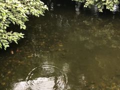 -晶宝温泉农庄