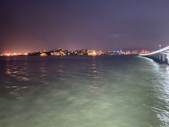 -演武大桥观景平台