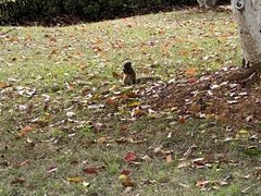 -杭州半山国家森林公园