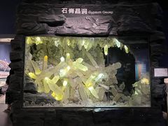 -湖南省地质博物馆