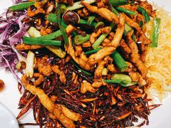 辣椒肉丝-小幸湖春饼(悦茂购物中心店)