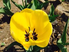 -长春公园(普阳街道)