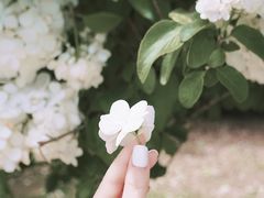 -上海滨江森林公园
