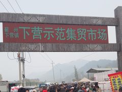 -示范集贸市场