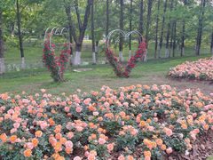 -武汉园博园(武汉自然博物馆)