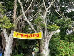 -小蜜蜂团建自助烧烤场(小洲村店)