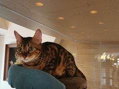 -Me Coffee下午茶艺术空间