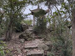 -紫金山山顶公园