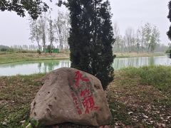 -合肥滨湖国家森林公园