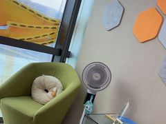 -天使口腔门诊部(上海店)