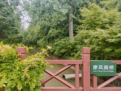 -上海滨江森林公园