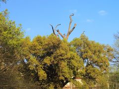 -南岳衡山风景名胜区-南岳大庙