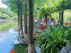 -东莞市可园博物馆