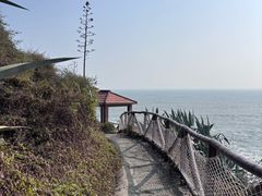 -漳州滨海火山岛自然生态风景区